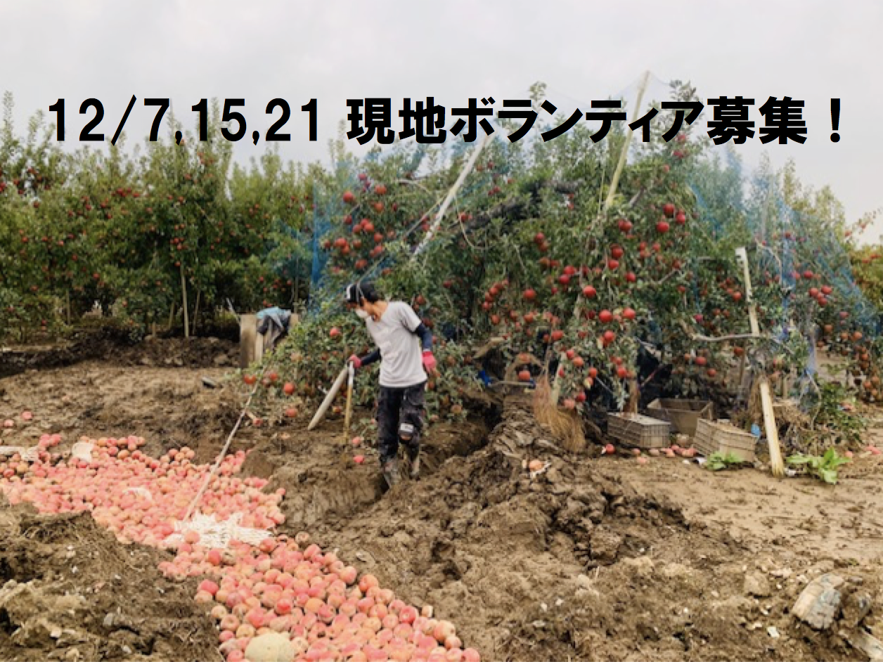 【12/7.15.21】ボランティアスタッフ募集 長野千曲川周辺リンゴ畑支援(リンゴスタープロジェクト)