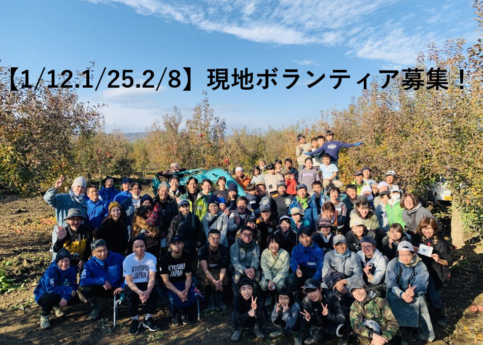【1/12.1/25.2/8】ボランティアスタッフ募集 長野千曲川周辺リンゴ畑支援(リンゴスタープロジェクト)